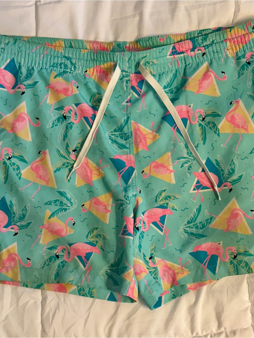 chubbies Aqua Swim Trunks with Pink Flamingo Print